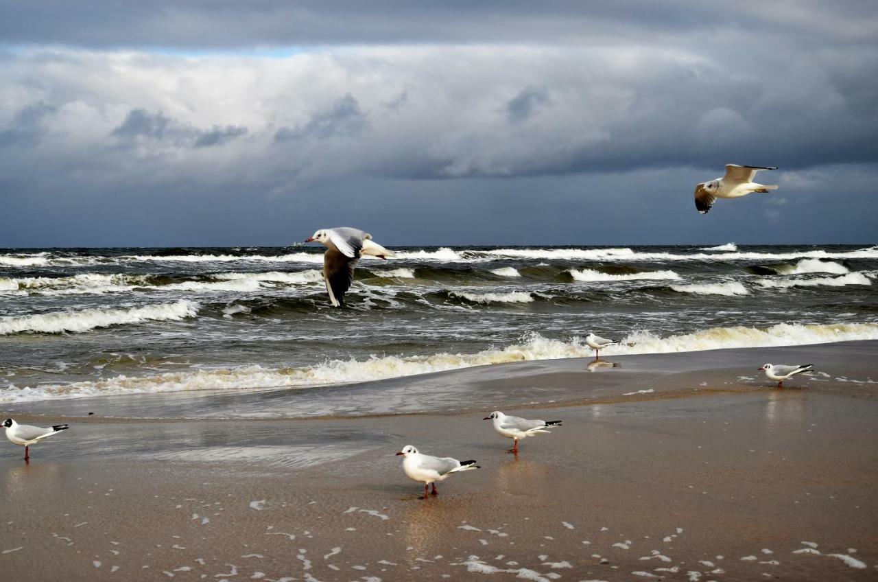 Polanki Be Happy Appartamento Kołobrzeg Esterno foto